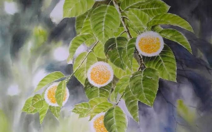 কবিতা: ঝরুক,লাকি নাসরিন