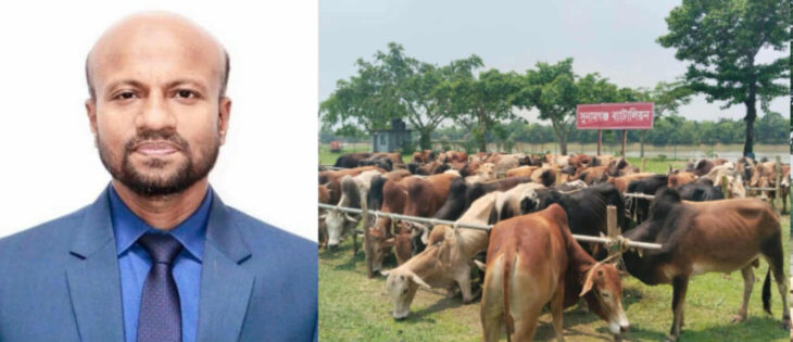 সুনামগঞ্জে ভারতীয় গরু নিলাম কার্যক্রম স্থগিত