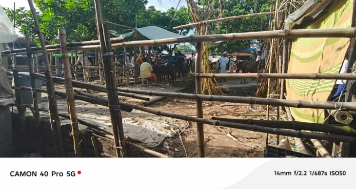 তাহিরপুরে এক গরু ব্যবসায়ীকে মারধরের অভিযোগ ইজারাদারের বিরুদ্ধে,ধর্মঘটের ডাক ‎