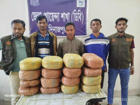 দিনাজপুরে রাতভর ডিবি পুলিশের পৃথক অভিযানে বিপুল পরিমাণ মাদক উদ্ধার
