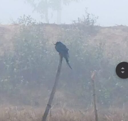 উত্তরের হিমেল হাওয়ায় শীতে কাঁপছে নিম্ন আয়ের খেটে খাওয়া মানুষ। 