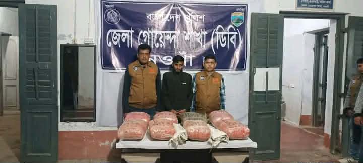 নওগাঁয় পুলিশের অভিযানে ৪২ কেজি গাঁজাসহ মাদক কারবারি আটক।