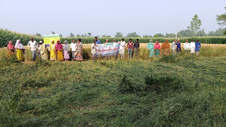 ৫০ জন কৃষক পাটনার প্রকল্পের ফিল্ড টেকনোলজি ওরিয়েন্টশন অনুষ্ঠিত।