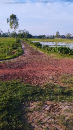 দিনাজপুরের বিরামপুরে সংযোগ হেরিং রাস্তা খাল খন্দকে ভরা চলাচলে বিঘ্নতা।
