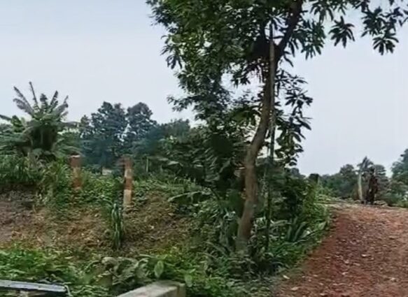 যশোর-অভয় নগর সিঙ্গিয়াপাড়া-সৈয়দ পাড়ার রাস্তাটি সংযোগ বেহাল দশা।