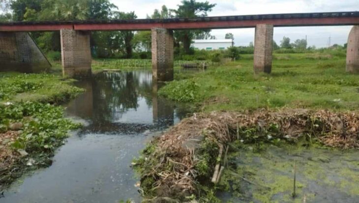 সান্তাহারে বর্জ্য পরিশোধনাগার ছাড়াই চলছে চালকল,দূষিত হচ্ছে খাল-ফসলি জমি।
