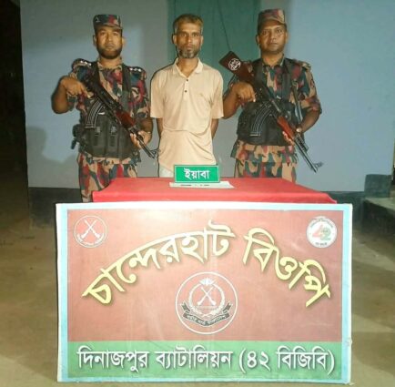 ঠাকুরগাঁও পীরগঞ্জ ও দিনাজপুর সীমান্তে ইয়াবা ও ট্যাপেন্টাডল উদ্ধার,আটক ১।